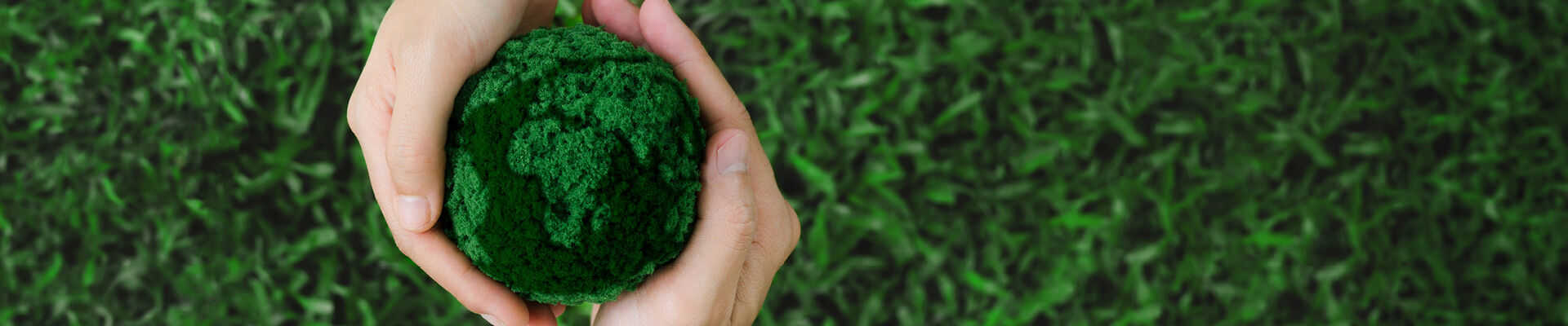 How sustainable were we in 2025? Find out all the details…