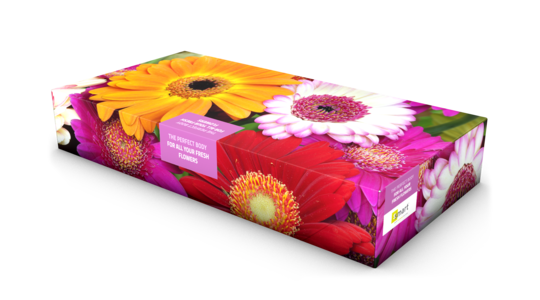 Flores